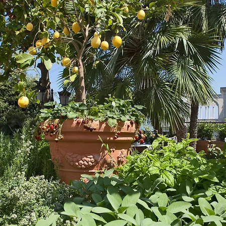 Luxury Excelsior Parco Hotel