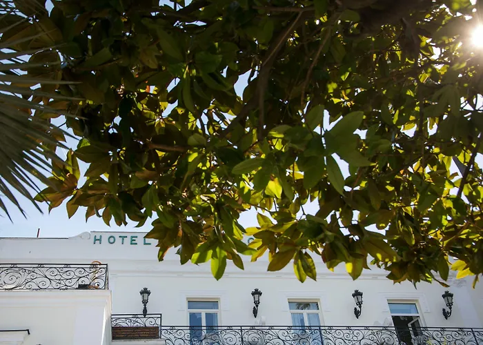 ラグジュアリー エクセルシオール パルコ カプリ